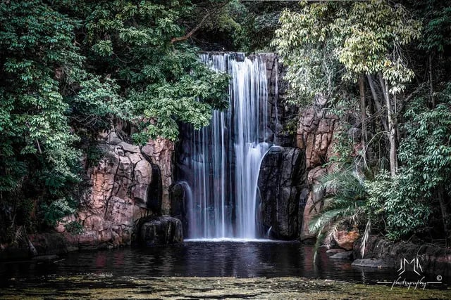 Cascade au milieu de la végétation à Sun City