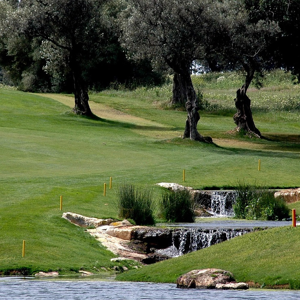 Compétition au Portugal : 3ème édition de la Nation Cup
