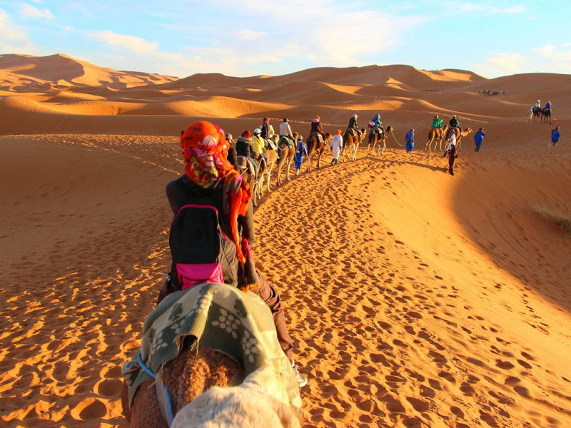Balade en chameaux dans le désert