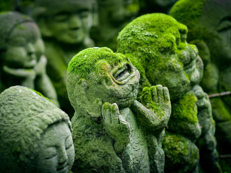 Statues de Bouddha, Kyoto, Japon