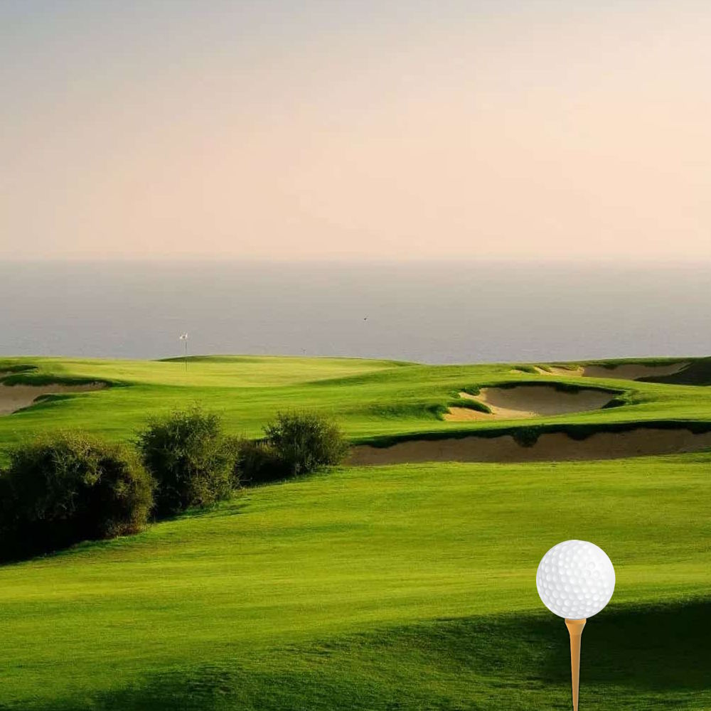 Stage Carte Verte - Hyatt Place Taghazout Bay★★★★★