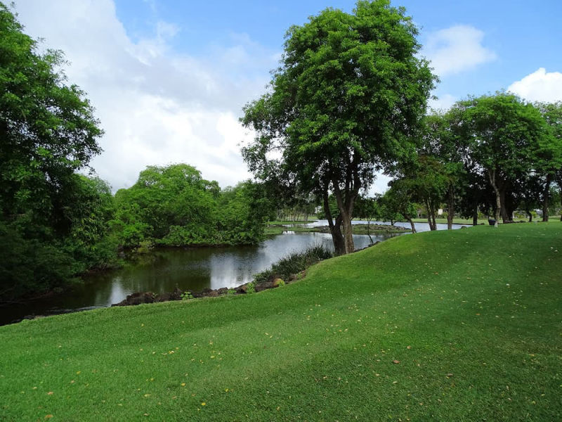 Pleine nature sur le parcours Legend Golf Course du Belle Mare