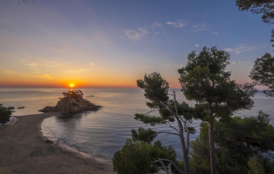 La mer et les pins à la lumière du soleil depuis le Park Hotel San Jorge
