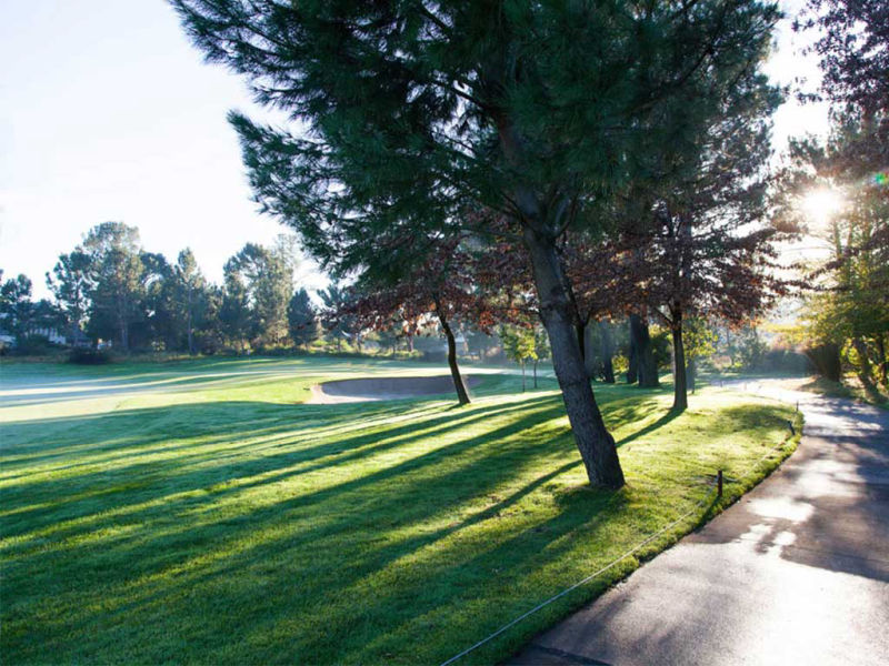 Green Bunker Chemin