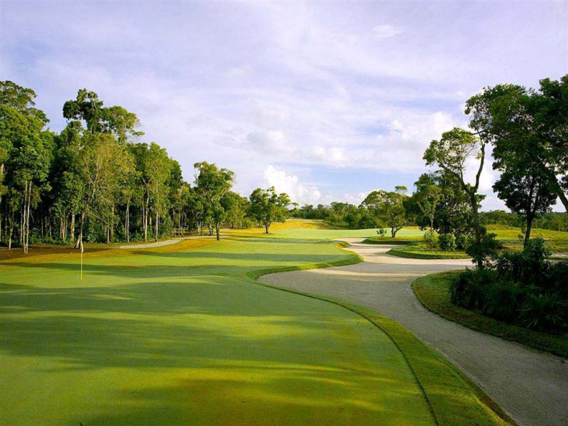 Green Forêt Bunker