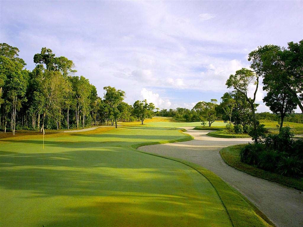 Green Forêt Bunker