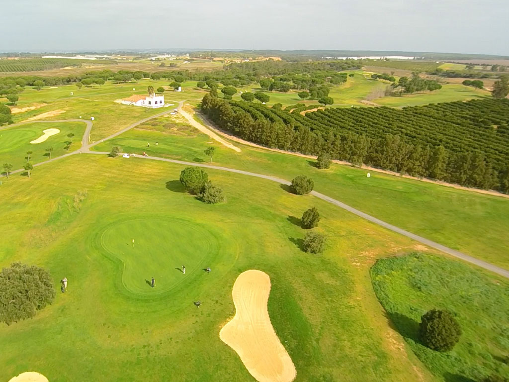 Vue Aerienne Green Forêt