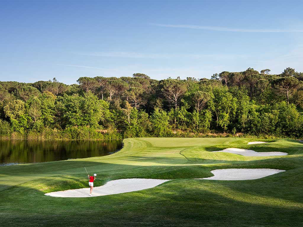 Golfeuse Green Bunker Forêt