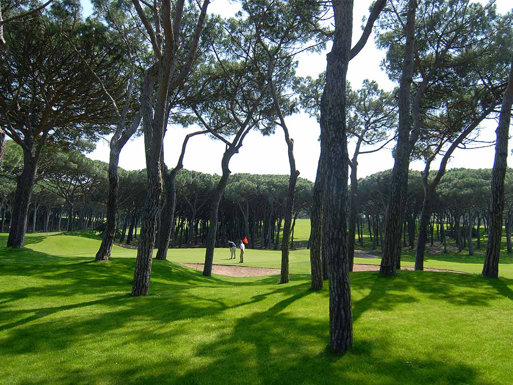 Green Forêt et Bunker