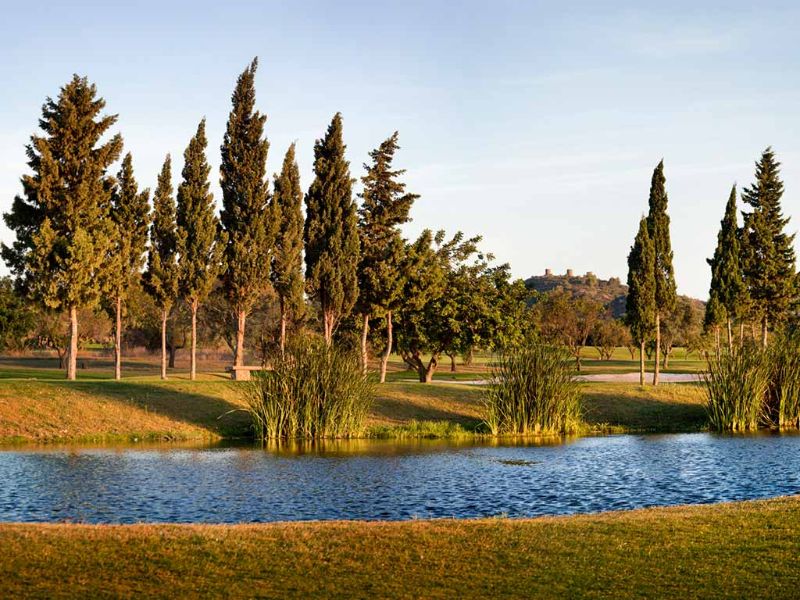 Lac Green Forêt