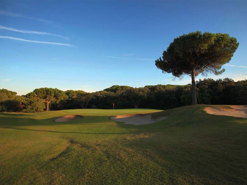 Green Bunker Forêt