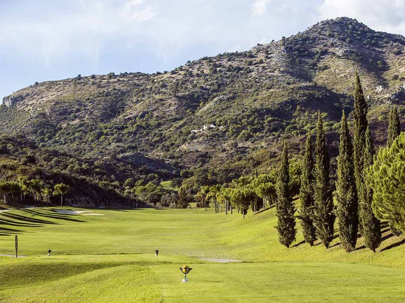 Green Forêt Montagne