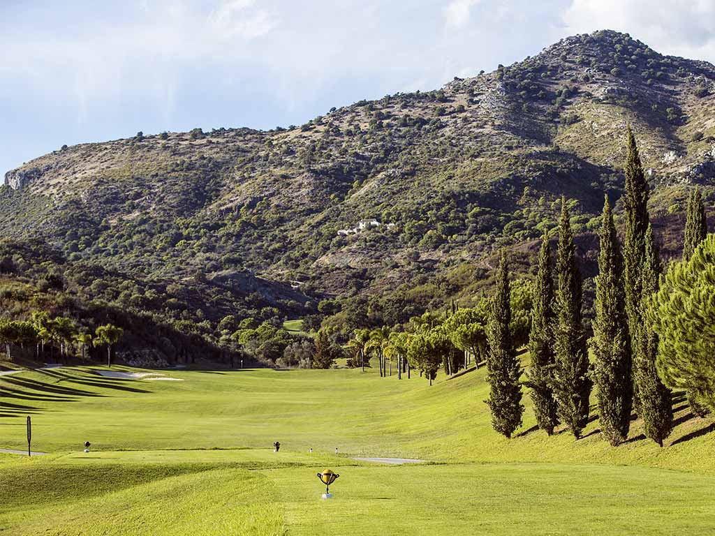 Green Forêt Montagne