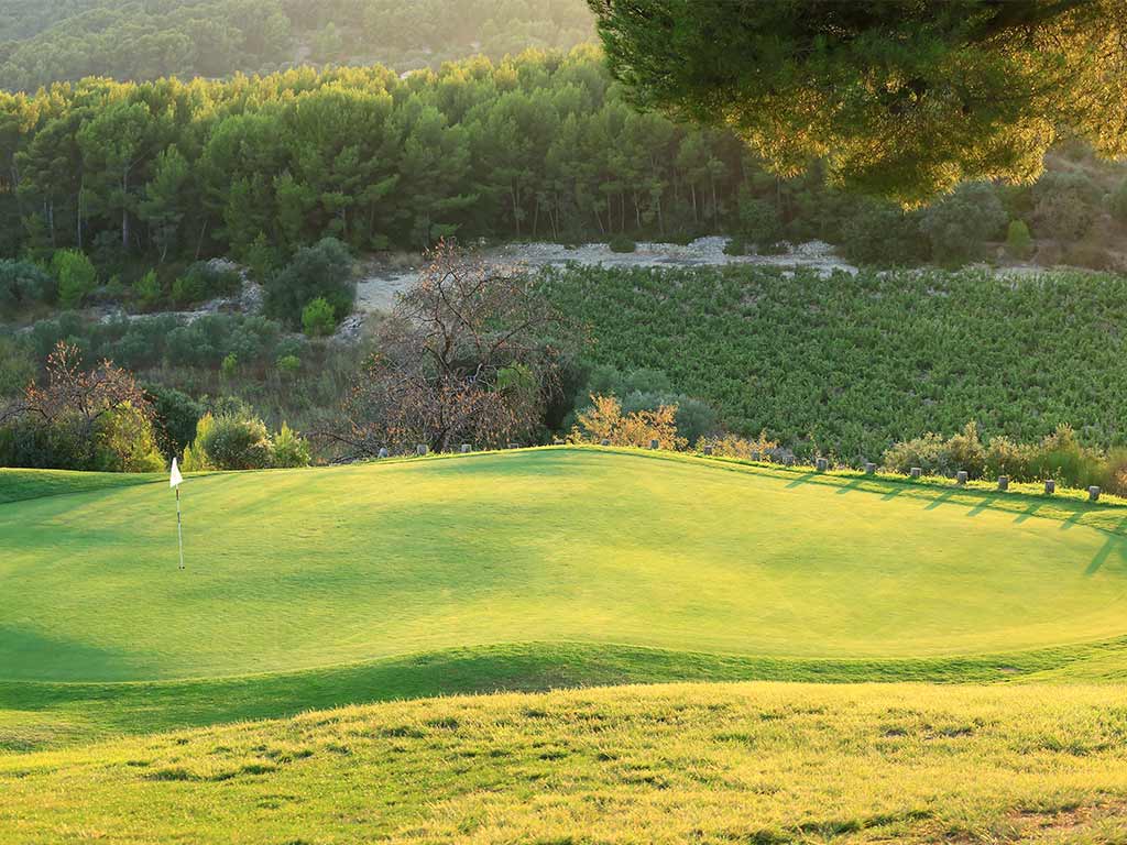 Vignoble et forêt au cœur du Golf de Dolce Frégate