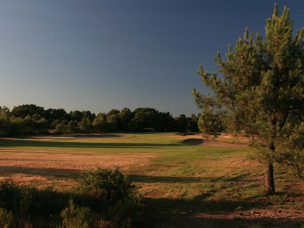 Forêt autour du golf du Médoc