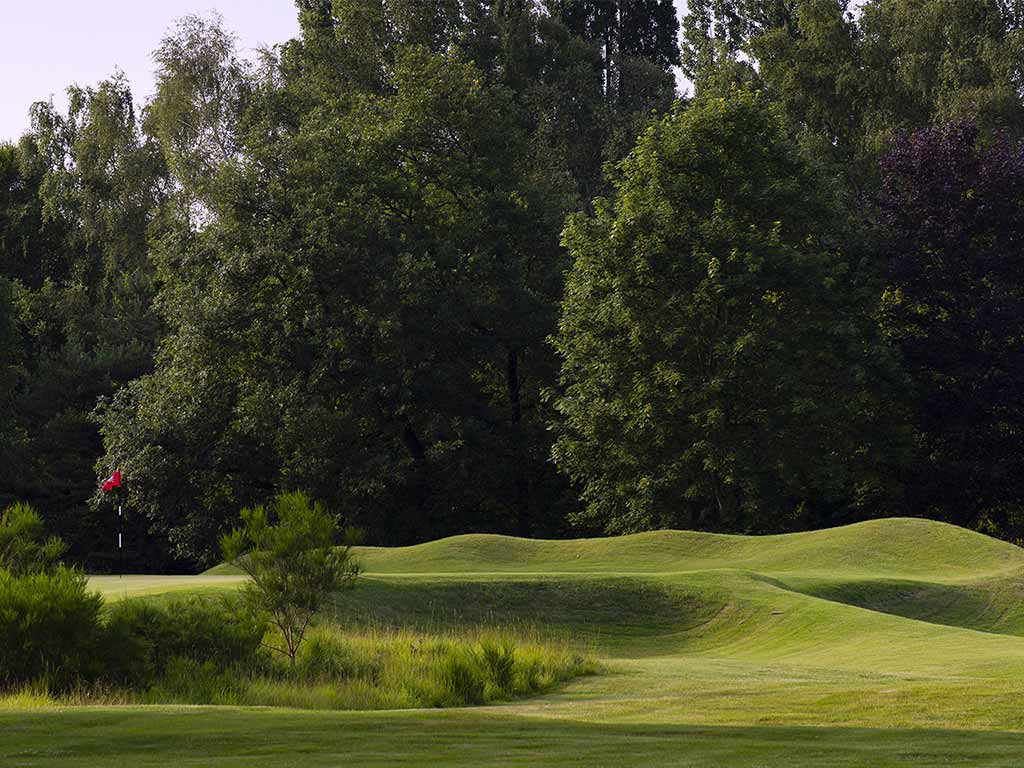 Arbres au bord du green du golf