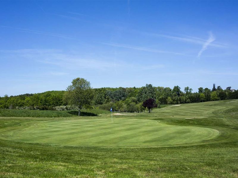 Green de golf et forêt