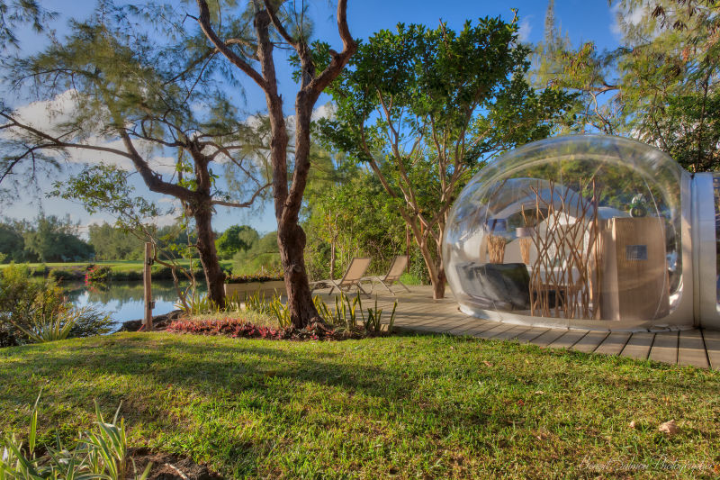 Bubble Lodge Île aux Cerfs : Banyan Tree