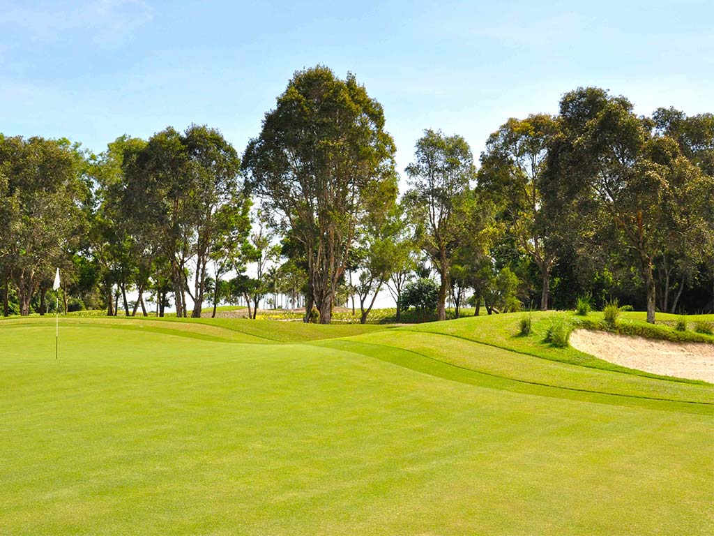 Green Golf Bunker