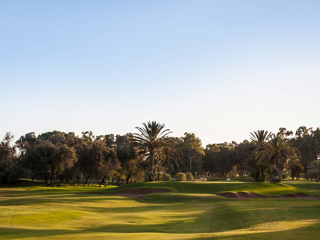 Green et bunker de golf