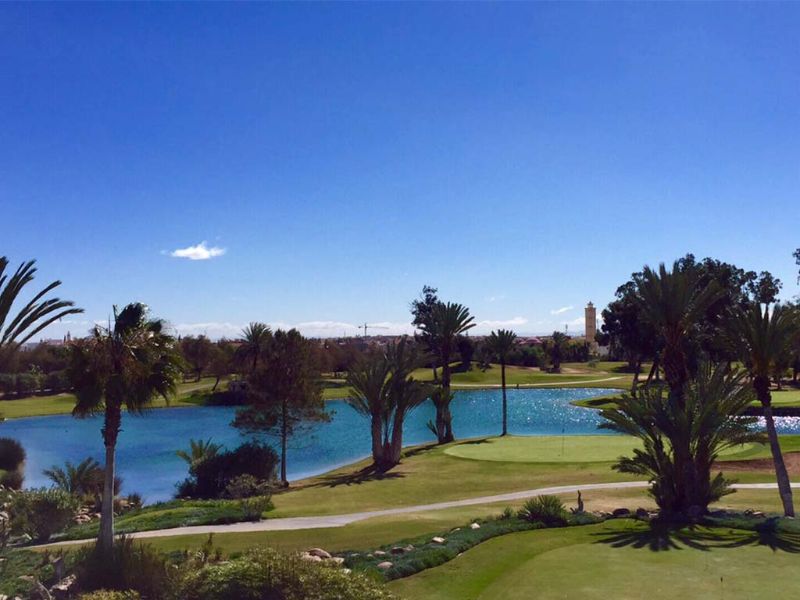 Green de golf et lac : paysage idyllique