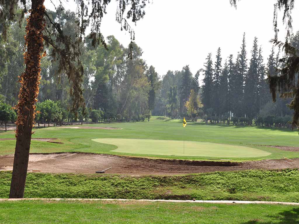 Green Bunker et Fôret