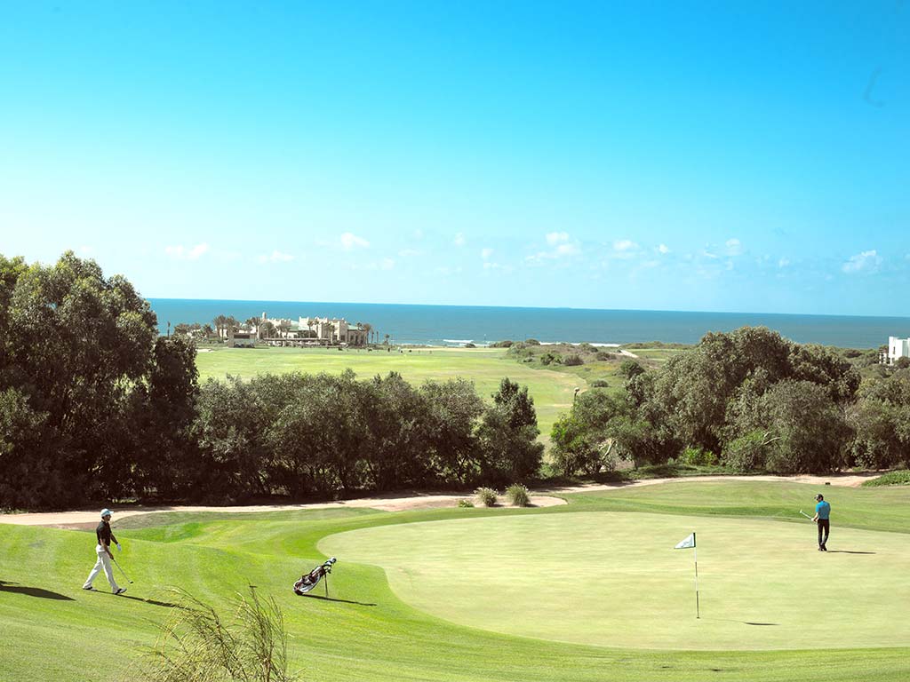 Golf Green Forêt Vue Ocean