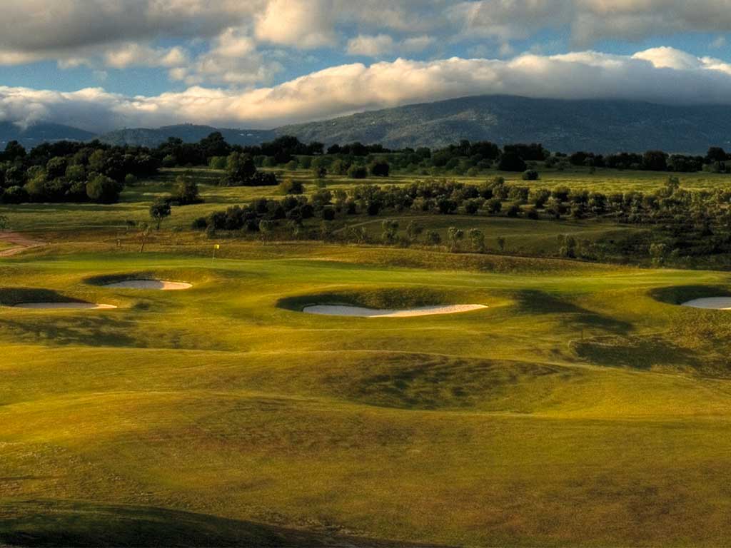 Green, bunker et forêt