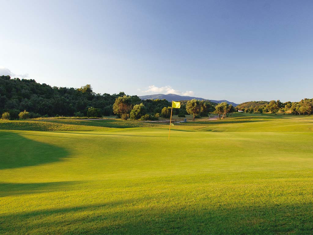 Green, drapeaux et forêt autour du golf