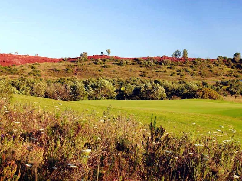 Flore colorée autour du golf