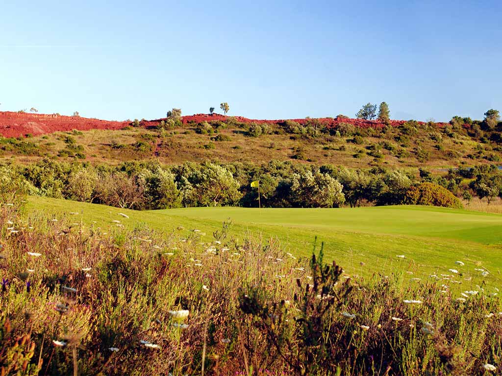 Flore colorée autour du golf