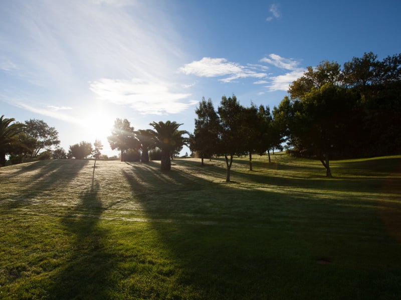 Batalha Golf Course Mars Pio