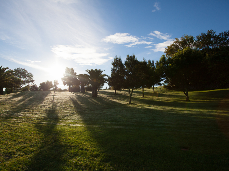 Batalha Golf Course Mars Pio