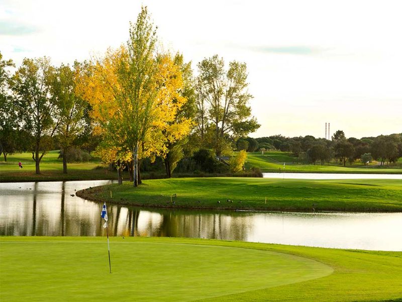 Lac, drapeau du parcours de golf et arbres