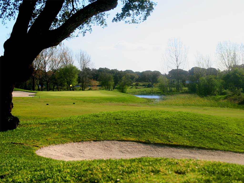 Lac et nature autour du parcours de golf