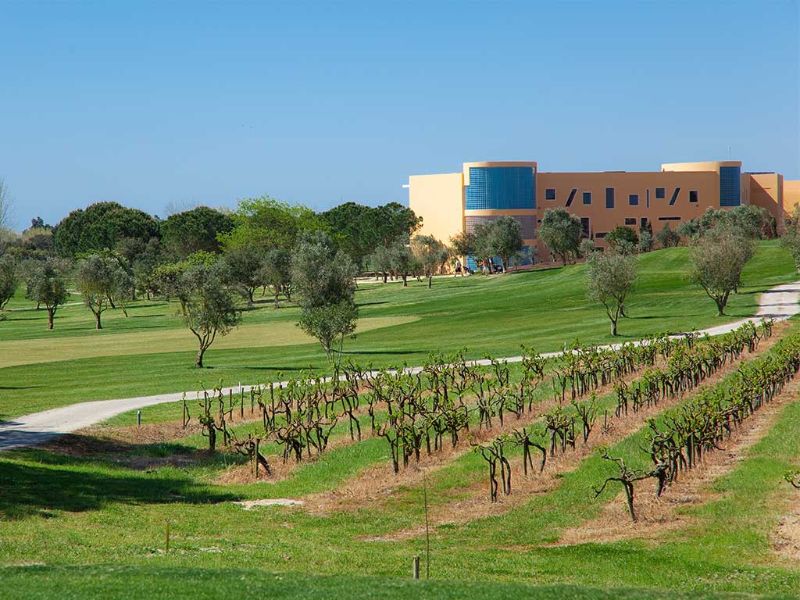 Parcours de golf et vignoble