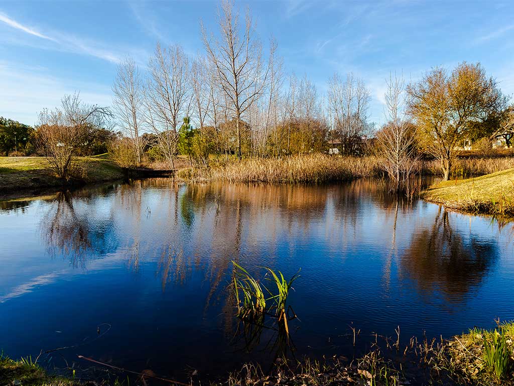 Lac et nature