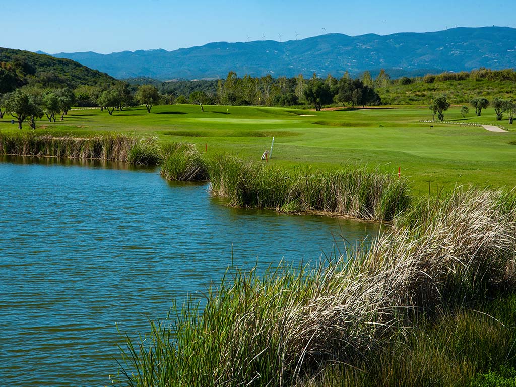 Lac sur le green du golf