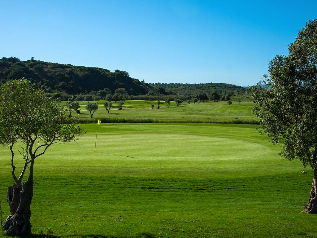 Green et fairways