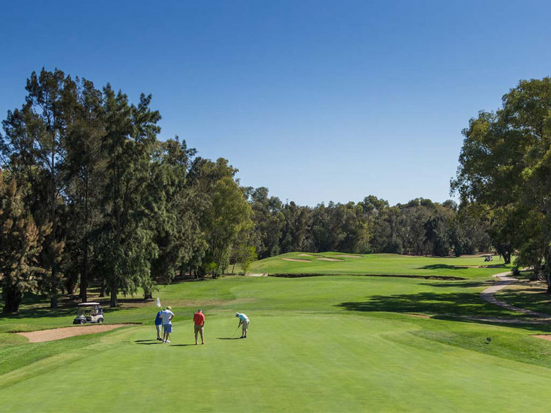 Green Parcours Golfeurs