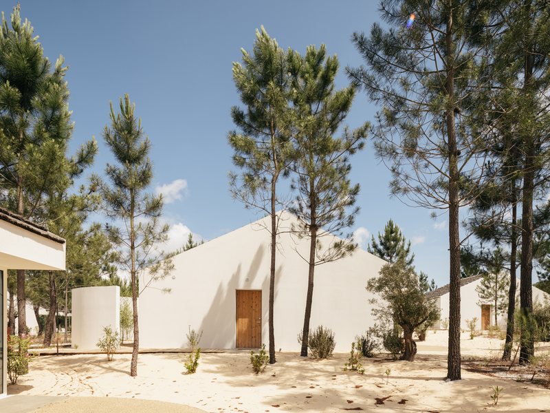 Cabana contemporaine entre les pins