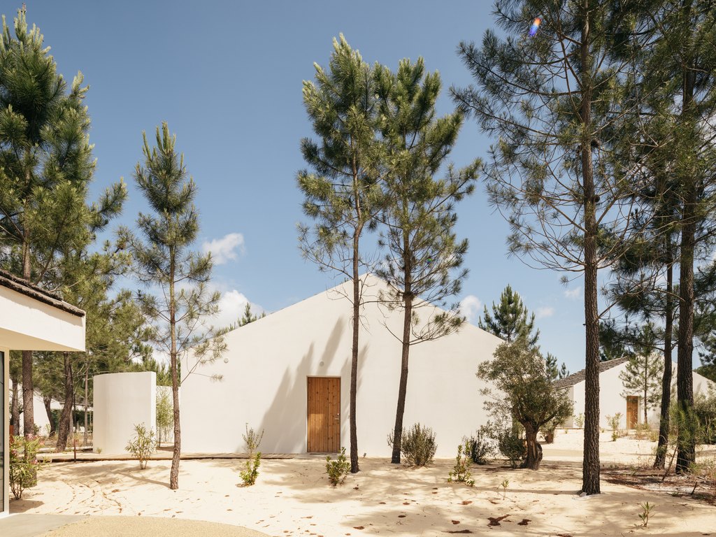 Cabana contemporaine entre les pins