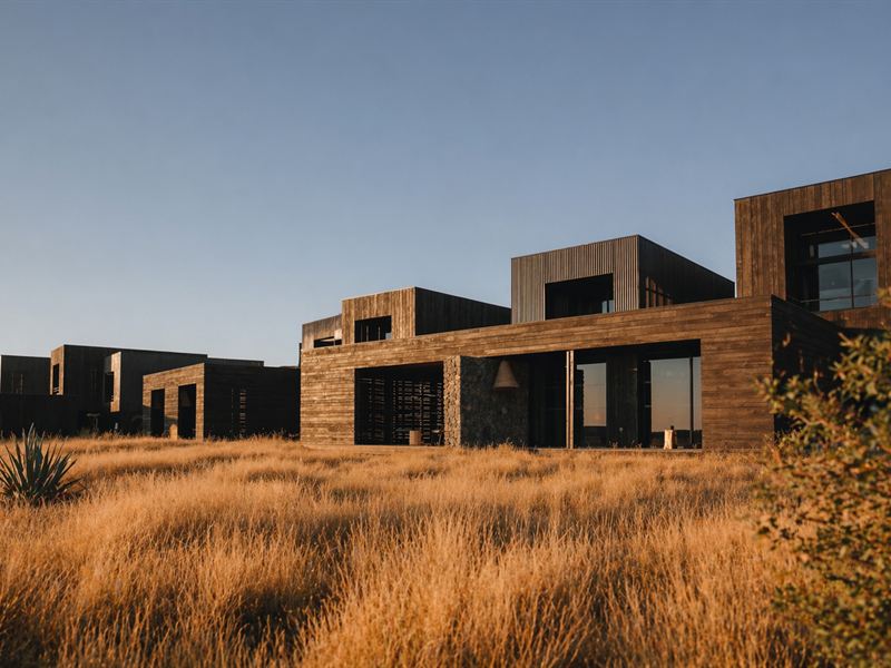 Bâtiment bois face à la savane