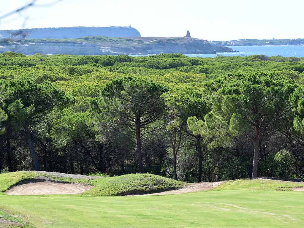 Forêt Vue Mer