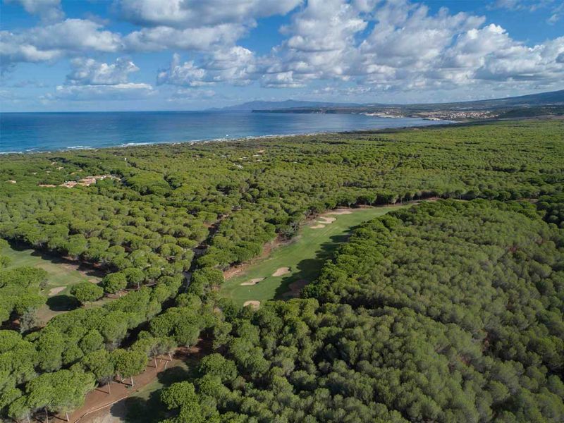 Vue Aerienne Forêt et Mer