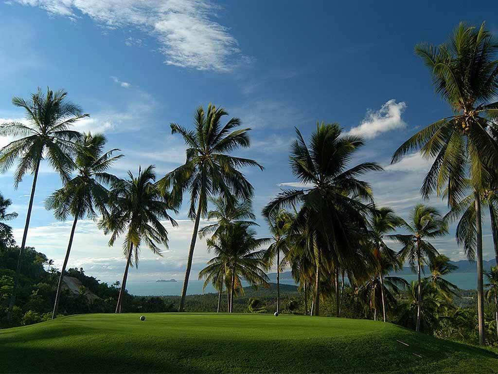Palmiers et green de golf avec l'océan en arrière-plan