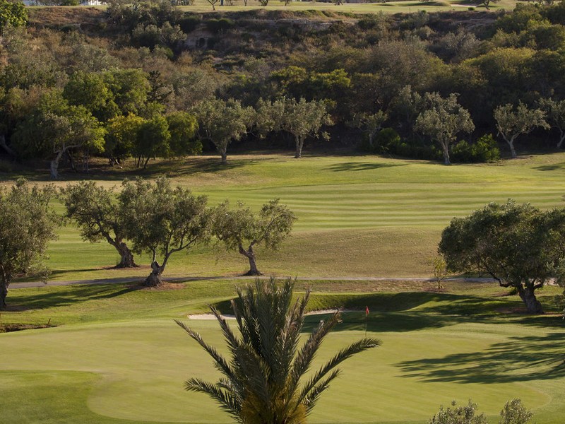 Fairways bordés de végétation méditerranéenne