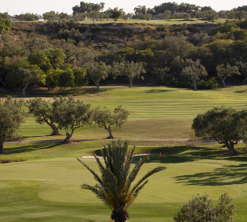 Fairways bordés de végétation méditerranéenne